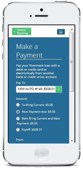 Online Payment Platform Mobile view